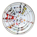 BUTTERFLY PARADE SET