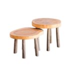 COFFEE TABLE - ROOTS SET OF 2