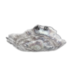 OYSTER TRANSPARENT - SOUP PLATE