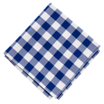 NAPKIN - KARO BLUE AND WHITE